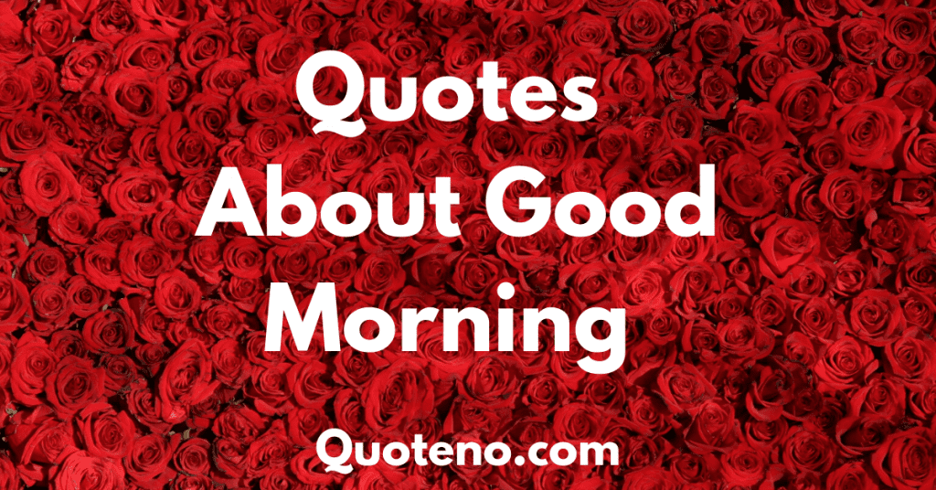 Featured image of post Good Morning Beautiful Quotes For Her - If so, use these 95 beautiful good morning quotes to create positive thinking and motivation for quotes for a beautiful morning.