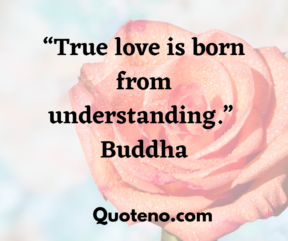 love buddha quotes