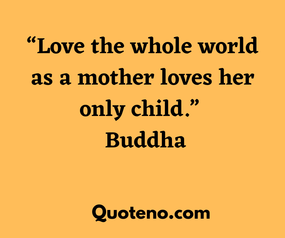 tiny buddha quotes on love