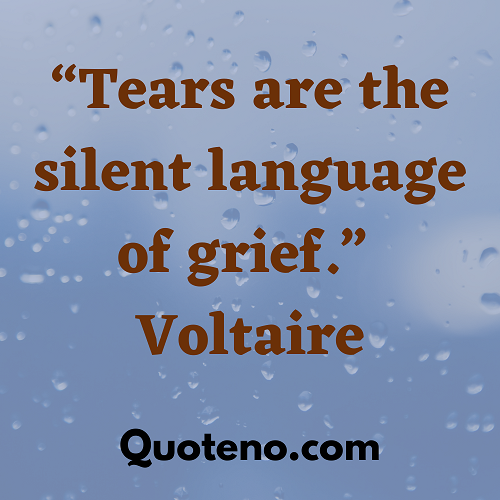 Quote About Tears And Grief