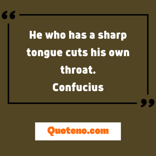 Funny Confucius Quote