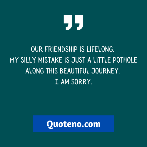 Our friendship is lifelong. My silly mistake is just a little pothole along this beautiful journey. I am sorry. - Heart touching Sorry quotes For Best  Friend