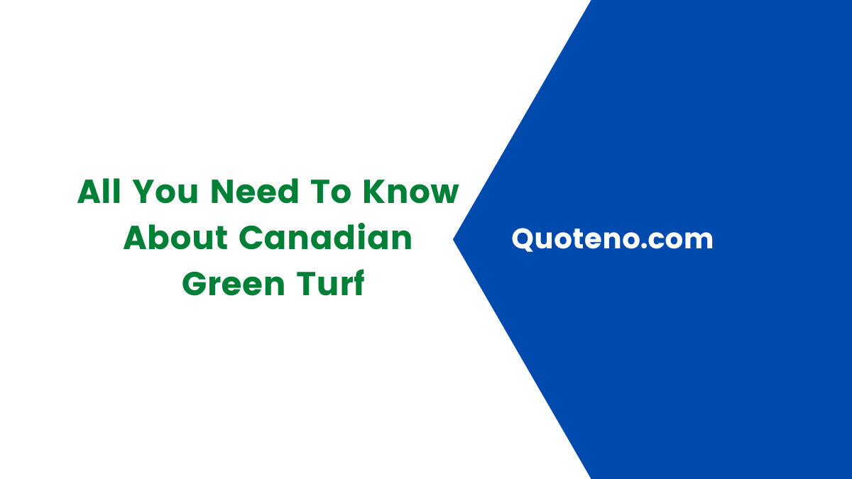 All You Need To Know About Canadian Green Turf