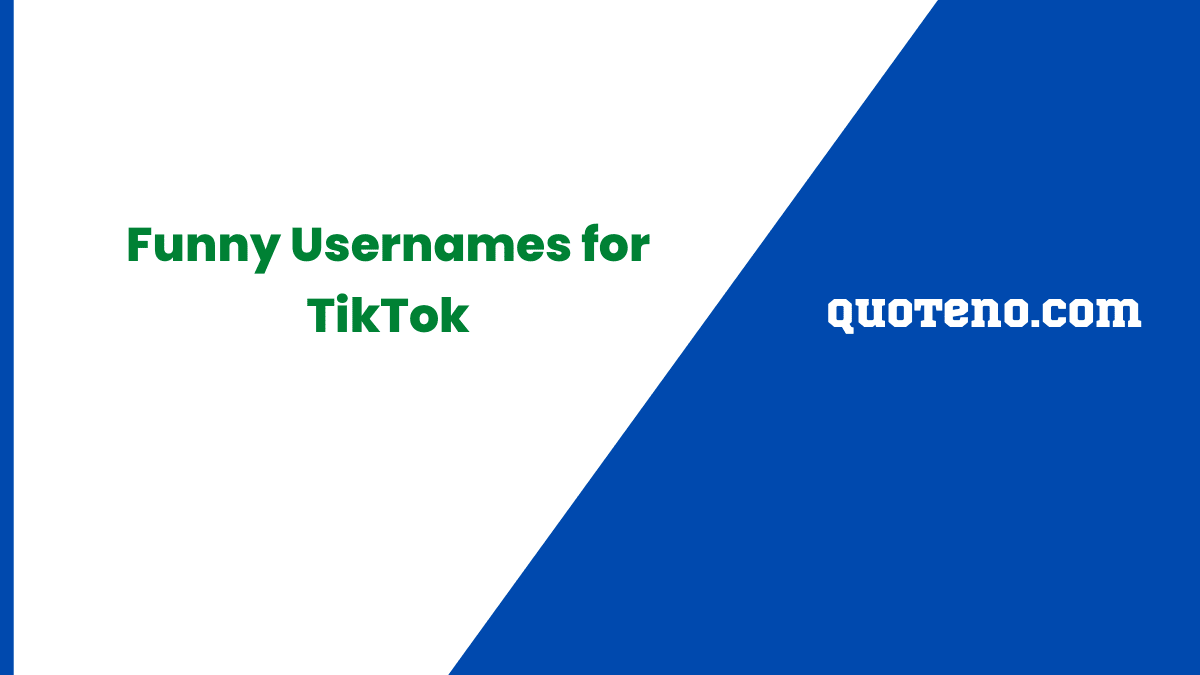 Funny Usernames for TikTok