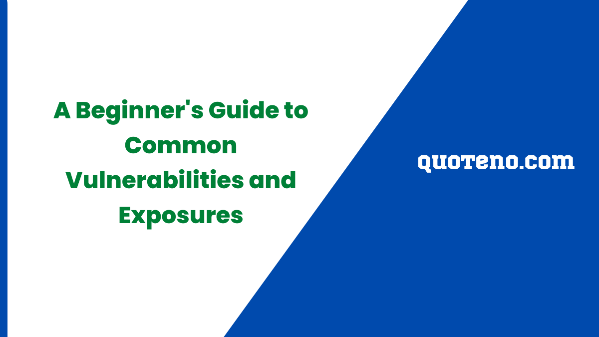 A Beginner's Guide to Common Vulnerabilities and Exposures
